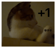 843741132