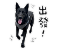 843741405