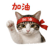 843741455