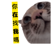 843742868