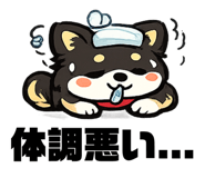 843742968