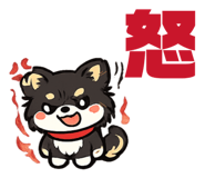 843742974