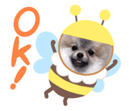 843743156