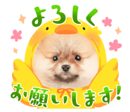 843743158