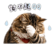 843743178