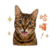 843743417