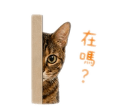 843743425