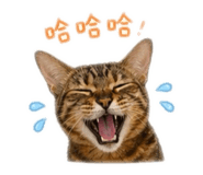 843743435