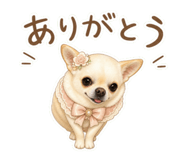843743507