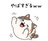 843743661