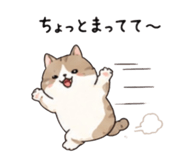 843743665