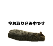 843743825
