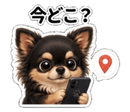 843744146