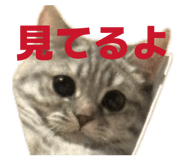 843744169
