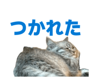 843744175