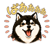 843744259