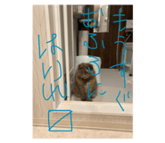 843744740