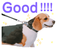 843745134