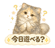 843746062