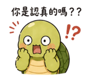 843746247
