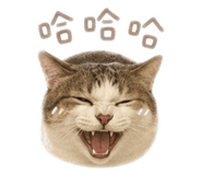 843746609