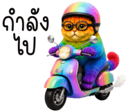 843746932
