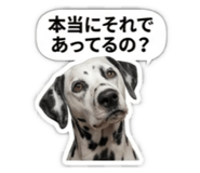 843748037