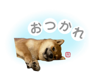 843748259