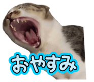 843749564