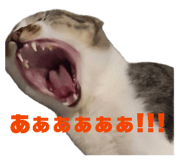 843749565