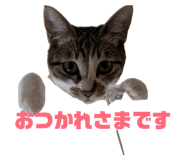 843749580