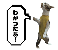843749581