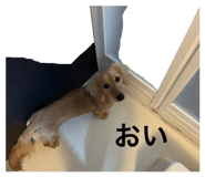 843749817