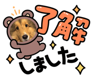 843749941