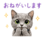 843749962
