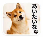 843750665