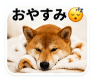 843750668