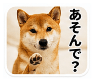 843750673