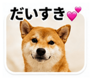 843750676