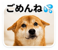 843750677