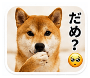 843750678