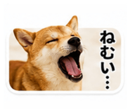 843750682