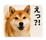 843750691