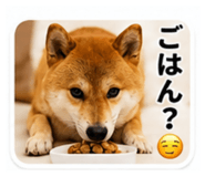 843750693