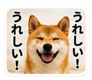 843750695