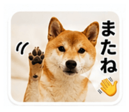 843750696