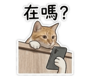 843751155