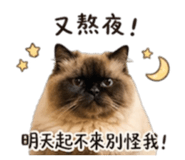 843751194