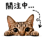 843751375