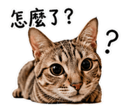843751379